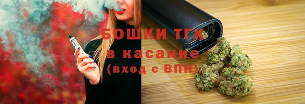 прущие грибы Абинск
