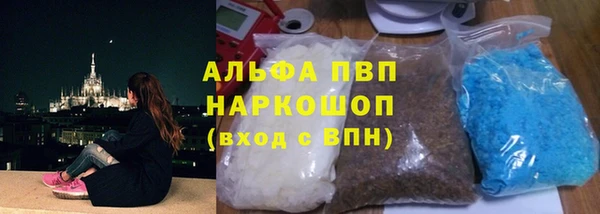 прущие грибы Абинск