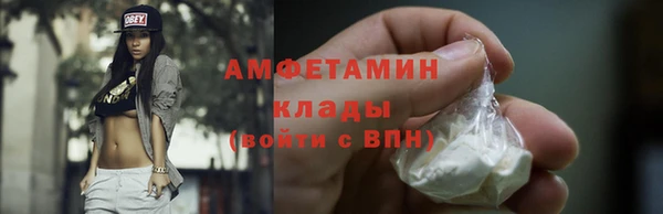 прущие грибы Абинск