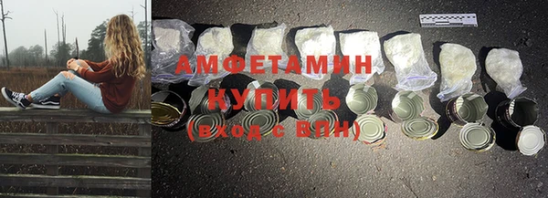 прущие грибы Абинск