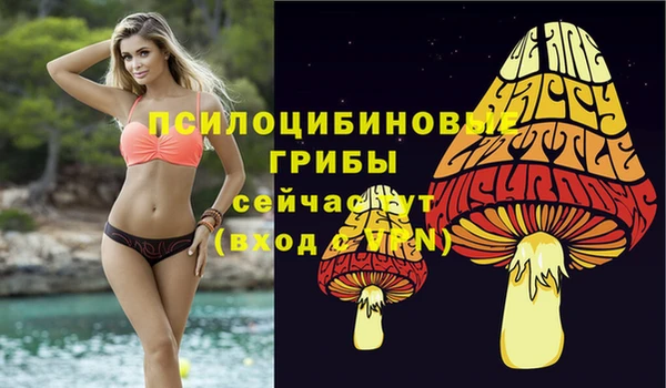 MDMA Абдулино