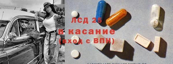 прущие грибы Абинск